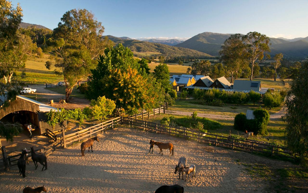 High Country Harvest Festival - Half day ride with 'Long Table' lunch (Next available dates May 2019 TBC)